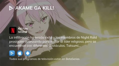 akame ga kill dónde ver.